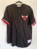 Chicago Bulls Striped Button Down Shirt